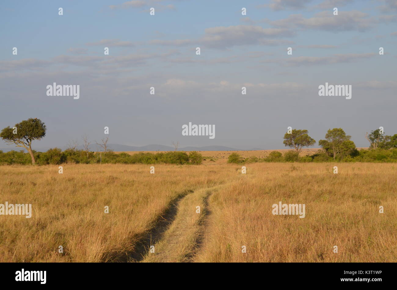 Paysages d'afrique Banque D'Images
