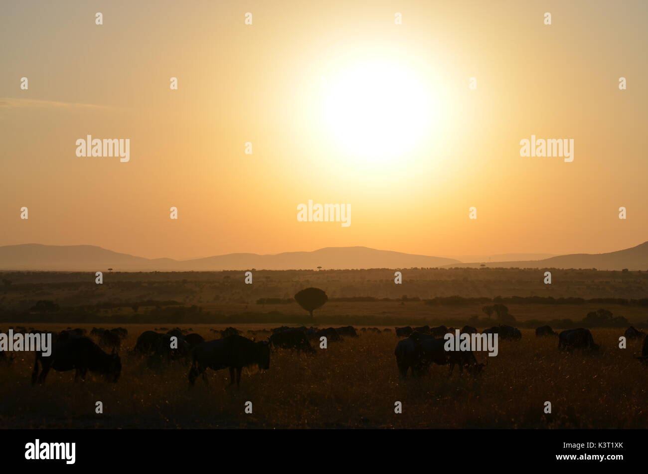 Paysages d'afrique Banque D'Images