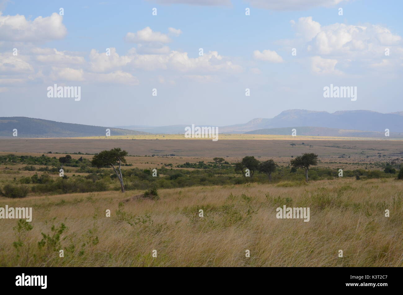 Paysages d'afrique Banque D'Images