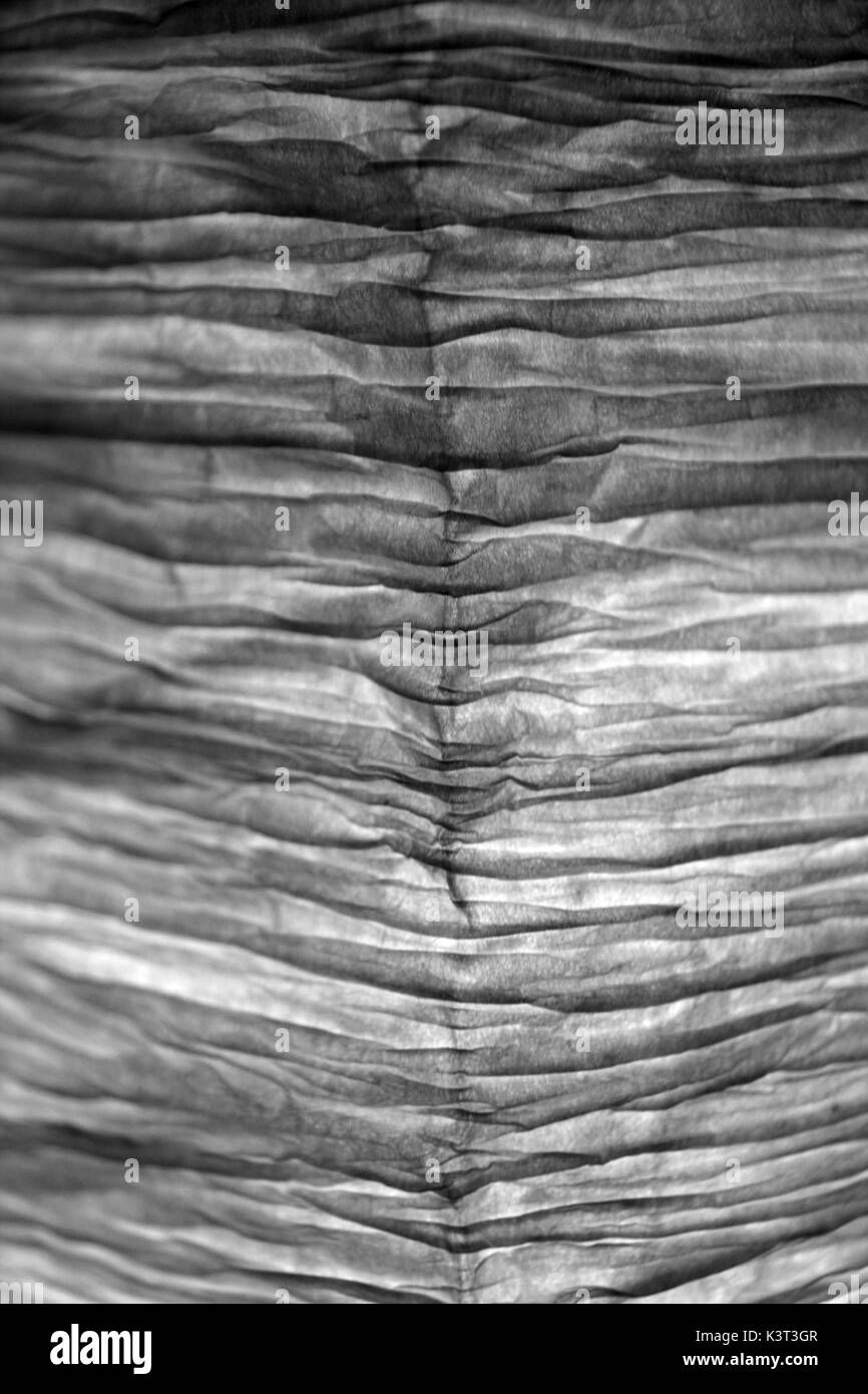 Abat-jour translucide, abat-jour, des abat-jour, opaque, de diriger la lumière d'une zone particulière, le blindage de l'éblouissement d'une source de lumière Banque D'Images