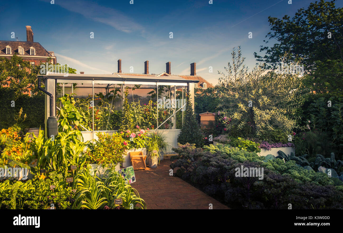 Radio 2 Se sentir bien : "le jardin de Chris Evans' au jardin du goût 2017 Chelsea Flower show à Londres. Banque D'Images