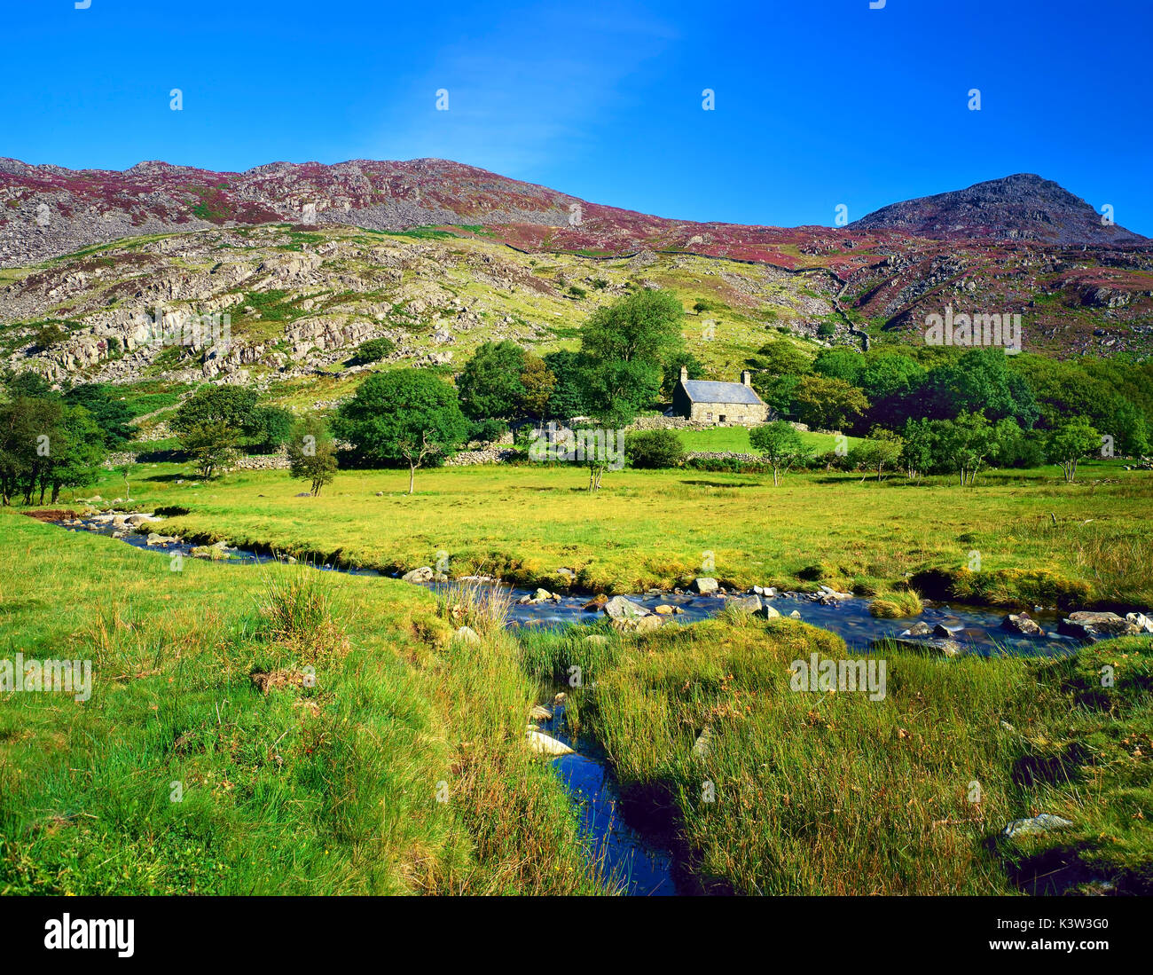 Une vue d'été d'une ferme isolée dans le parc national de Snowdonia, Pays de Galles, Royaume-Uni. Banque D'Images