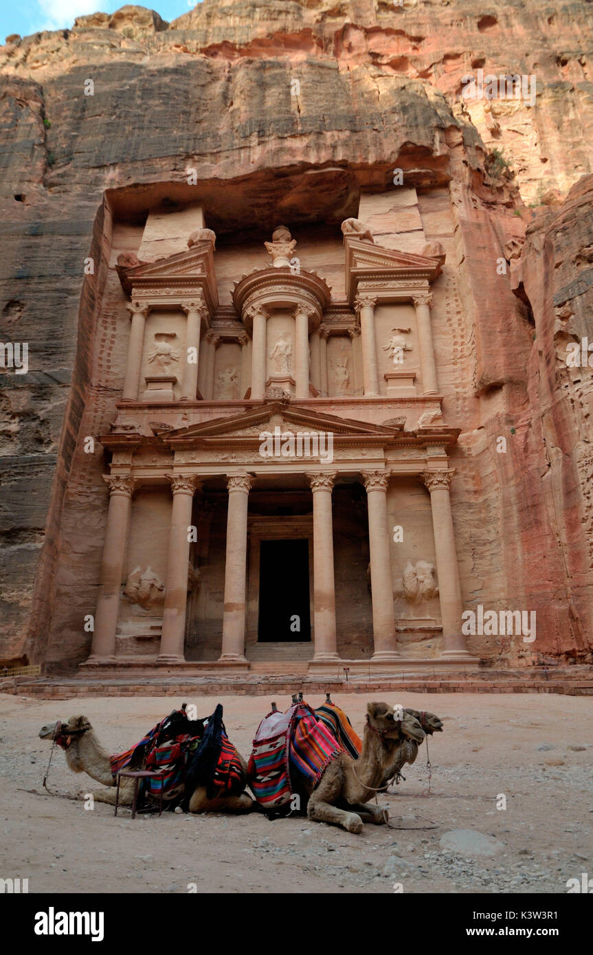 L'allure du trésor de Petra, au lever du soleil, en compagnie de quelques chameaux au repos attendent les touristes. La Jordanie Banque D'Images