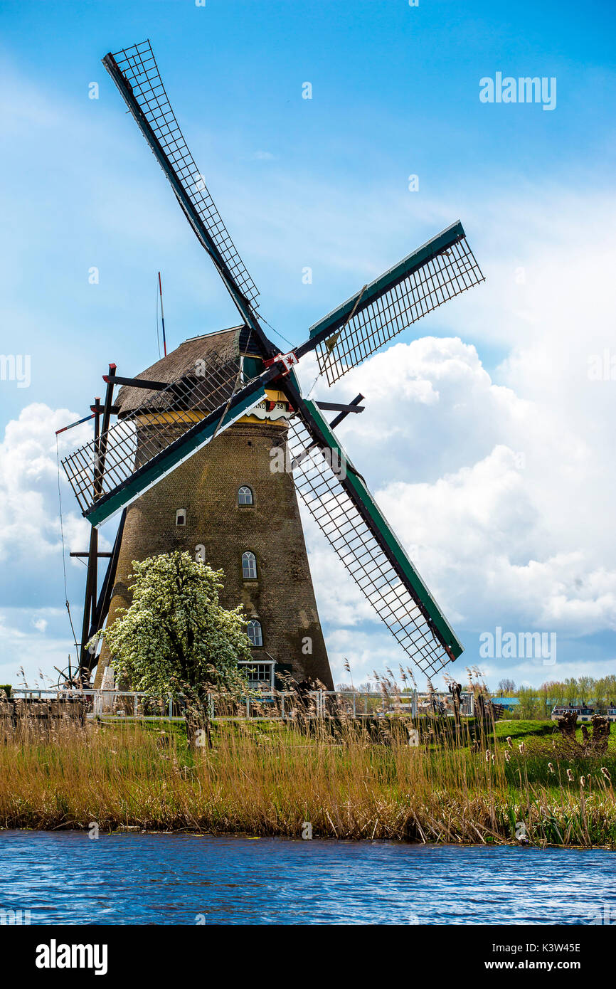 Kinderdijk, moulins à vent en Hollande Banque D'Images