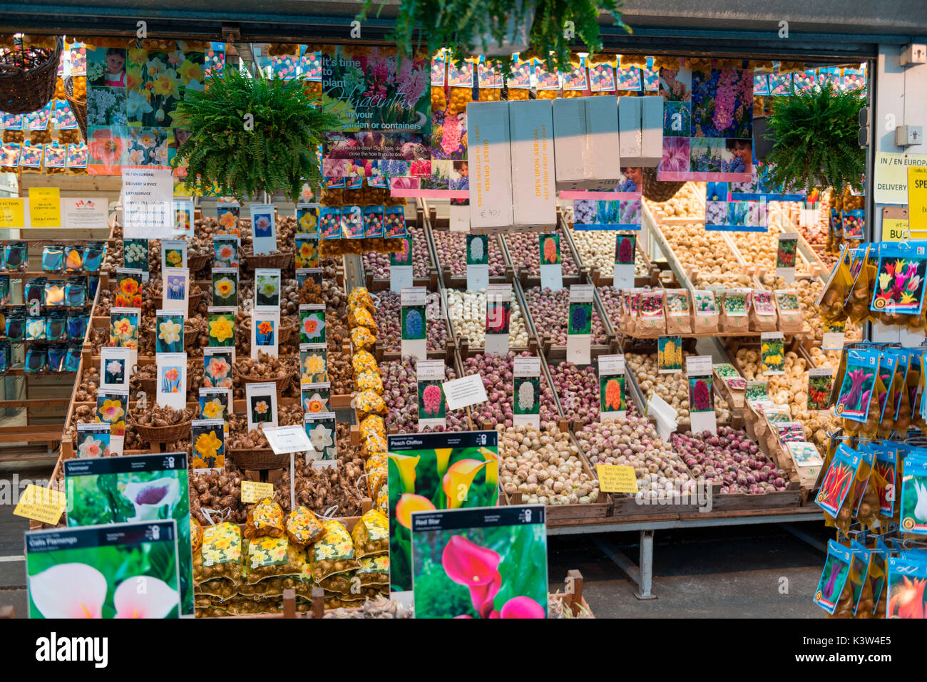 Les Pays-Bas, l'Europe, marché aux fleurs à Amsterdam Banque D'Images