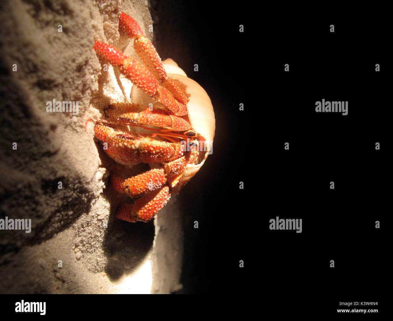 Les Maldives beach et la mer avec l'ermite Banque D'Images