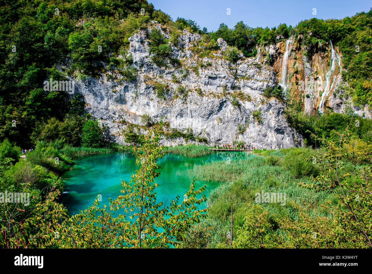 Les lacs de Plitvice, Croatie, Europe. Les étangs et chutes dans le vert de la végétation Banque D'Images