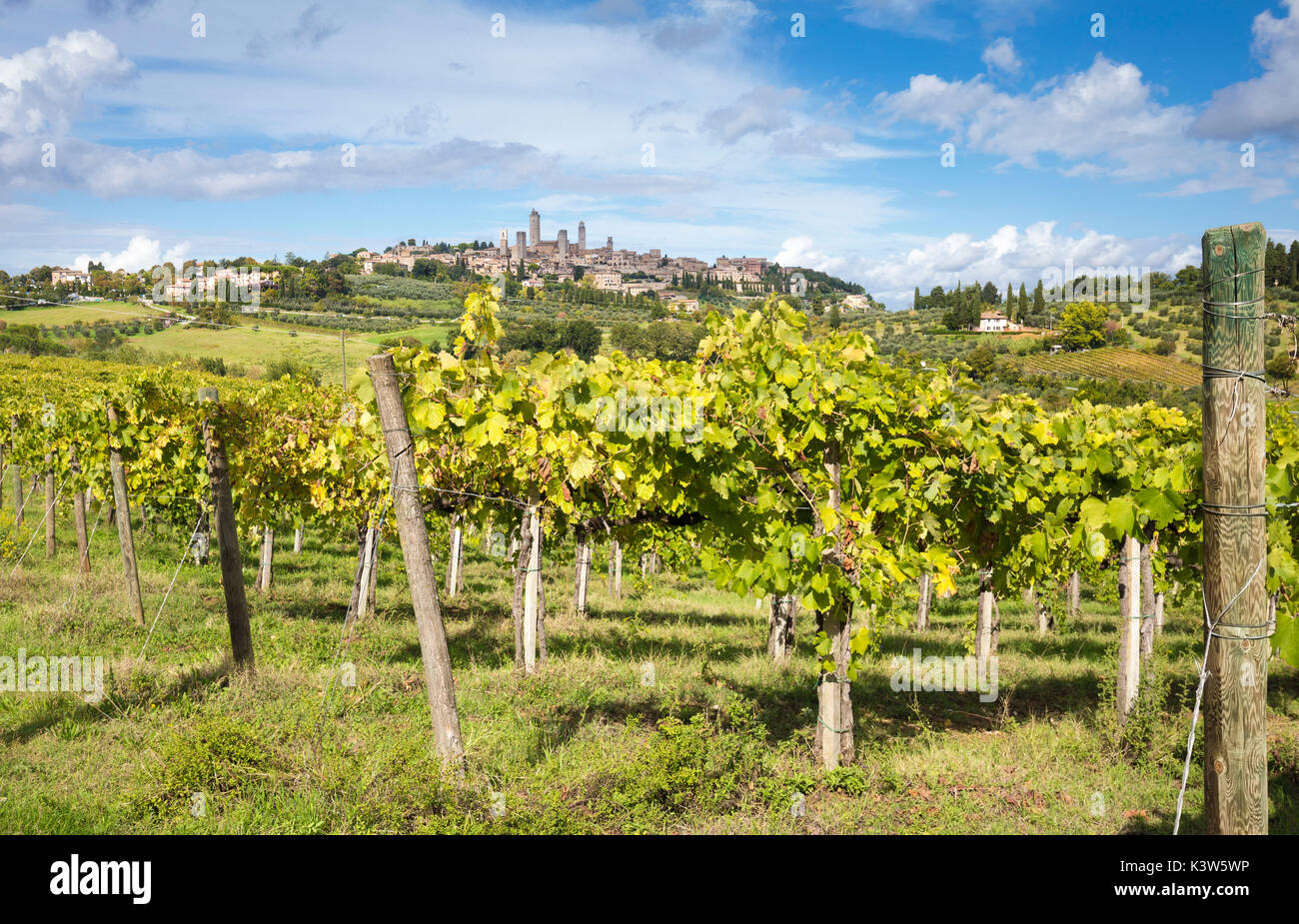 Centre historique de San Gimignano à partir de vignes en automne. San Gimignano, province de Sienne, Toscane, Italie, Europe Banque D'Images