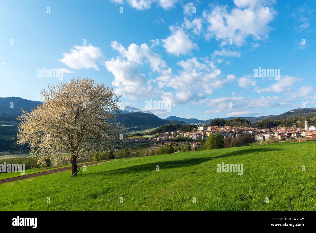 L'Italie, Trentin-Haut-Adige, prairies de vallée de Non dans une journée de printemps. Banque D'Images