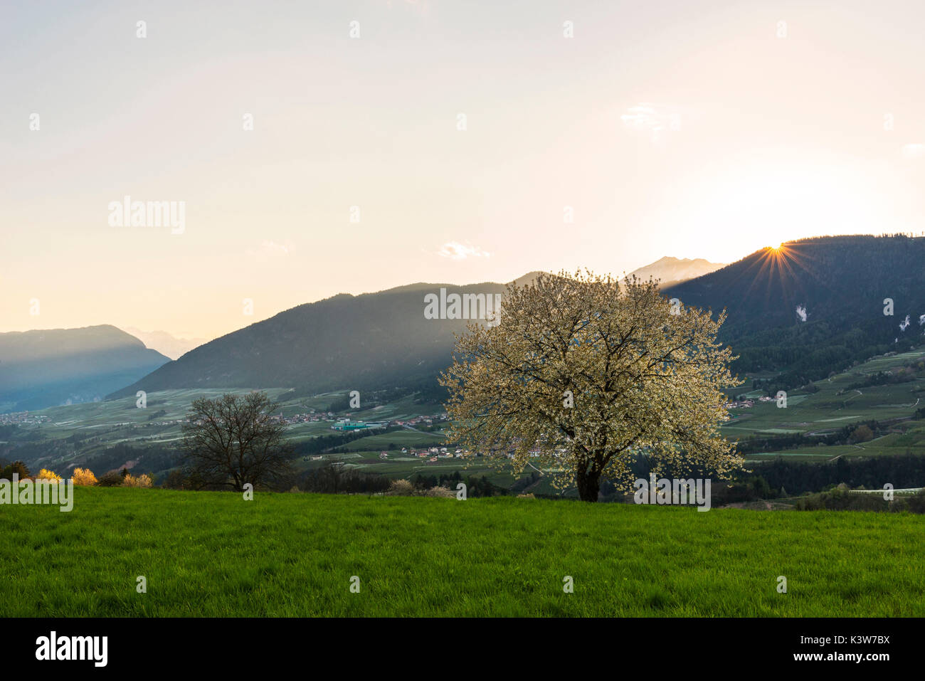 L'Italie, Trentin-Haut-Adige, prairies de vallée de Non dans une journée de printemps. Banque D'Images