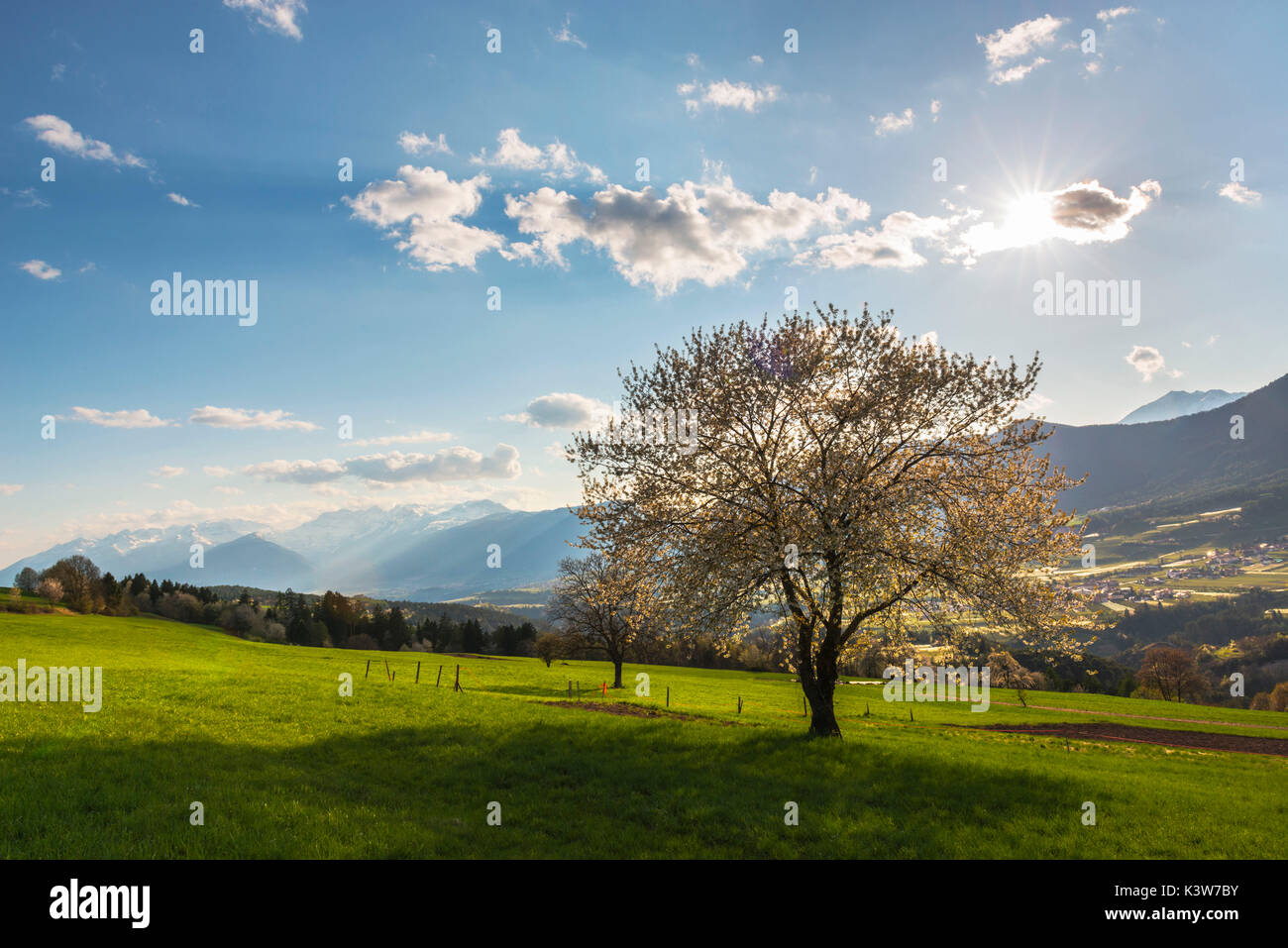 L'Italie, Trentin-Haut-Adige, prairies de vallée de Non dans une journée de printemps. Banque D'Images