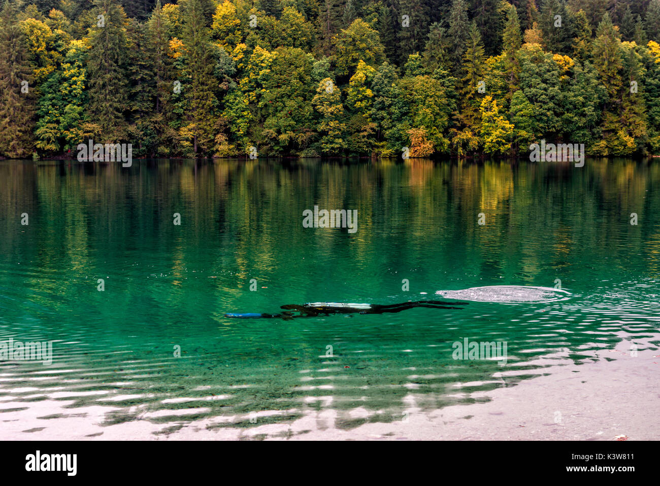 L'Italie, Trentin-Haut-Adige, vallée non plongeur, de la découverte de l'eau lac Tovel Banque D'Images