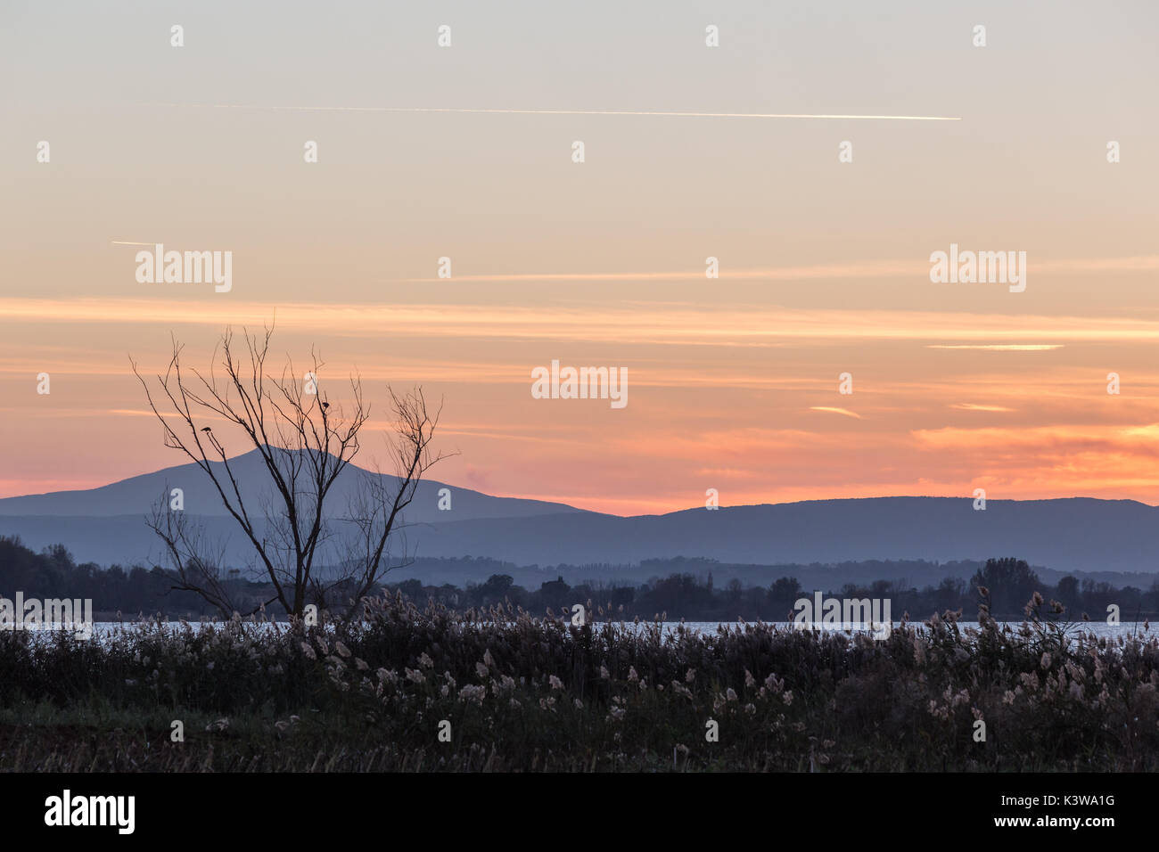 La silhouette des arbres et des plantes à proximité d'un lac au crépuscule, avec de belles couleurs orange et violet dans le ciel et les collines au loin Banque D'Images