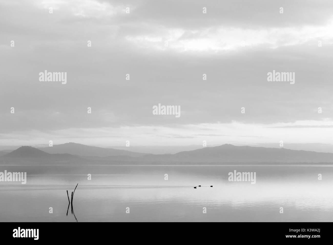 Un lac au crépuscule, avec des tons doux, des collines et montagnes, certains canards sur l'eau et des poteaux en bois au premier plan Banque D'Images