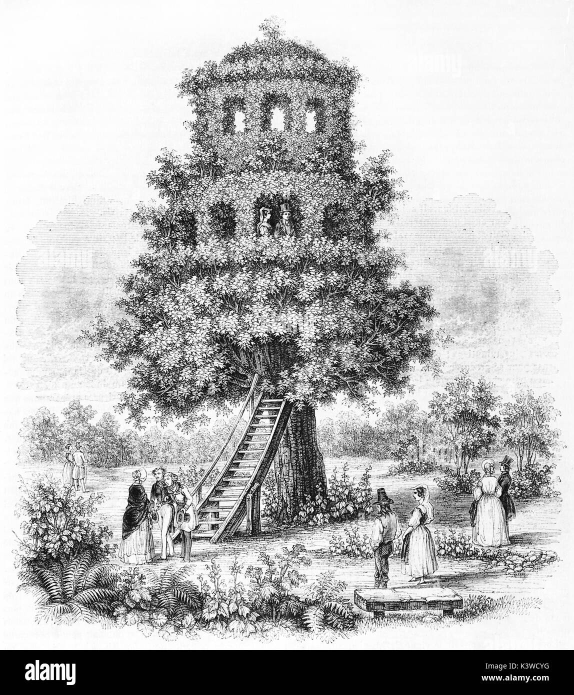 Vieille illustration d'un arbre-Mable house dans Matibò, près de Savigliano en Italie. Par auteur non identifié, publié le Magasin Pittoresque, Paris, 1841 Banque D'Images