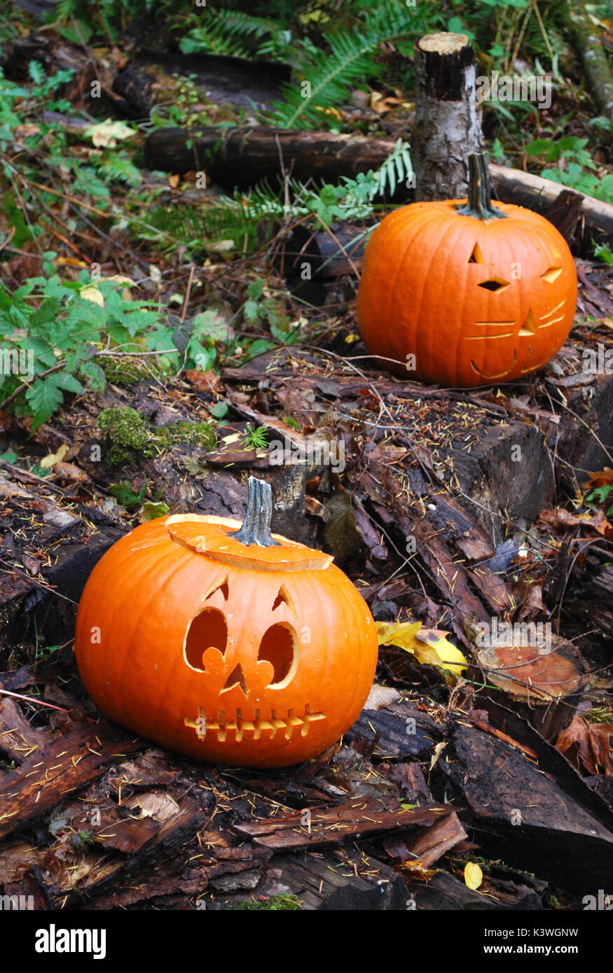 Paire de Carved Pumpkin jack-o-lanternes Banque D'Images