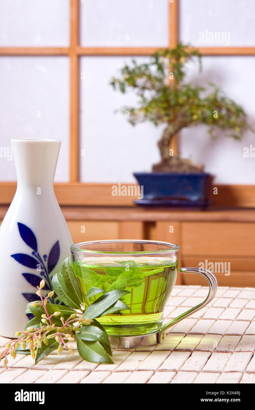 Boire du thé vert et du saké japonais shoji traditionnel contre une vitre Banque D'Images