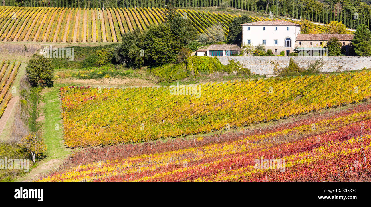 Paysage d'automne impressionnant,vue panoramique des vignobles,Toscane,Italie. Banque D'Images