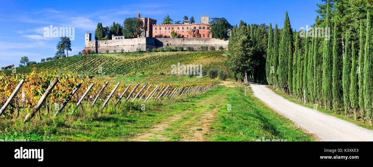 Paysage de la campagne et du paysage de la toscane - automne doré vignobles. Castello di Brolio. Italie Banque D'Images