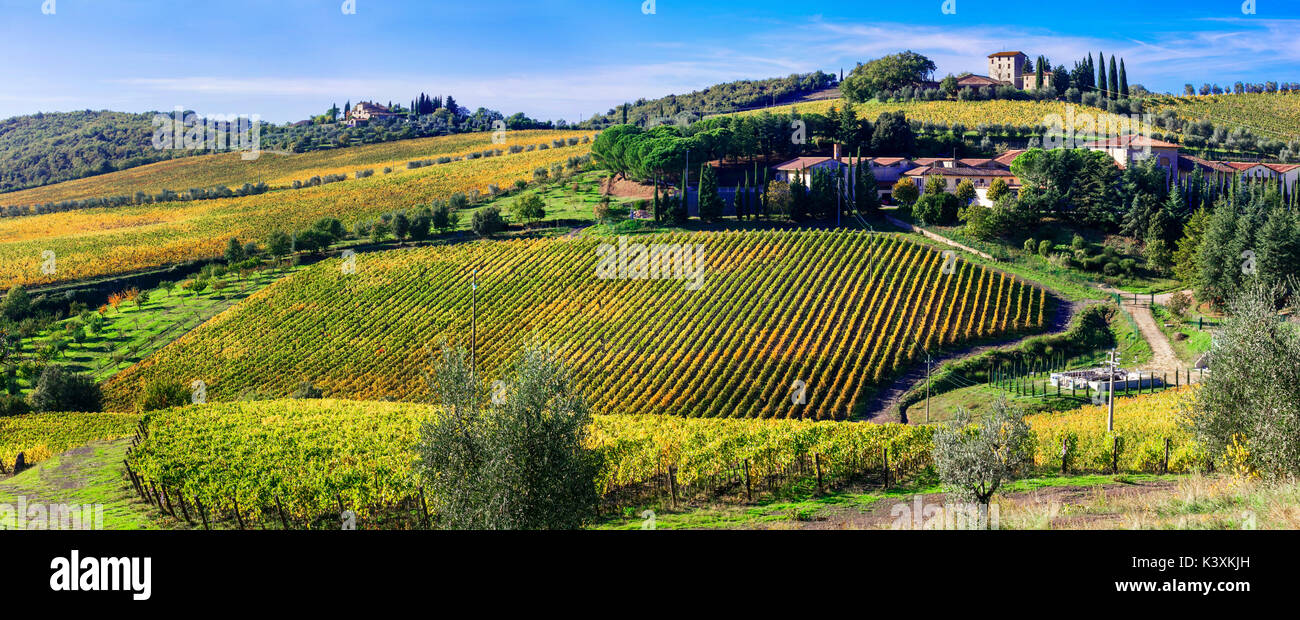 Paysage de la campagne et du paysage de la Toscane - automne doré de vignobles. Italie Banque D'Images