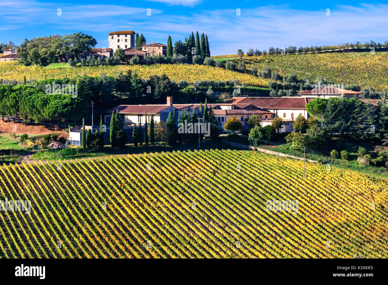 Paysage de la campagne et du paysage de la toscane - automne doré vignobles. Italie Banque D'Images