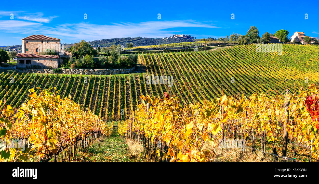 Décor de l'automne- golden vignobles de Toscane chianti - vigne principale. région de l'italie Banque D'Images
