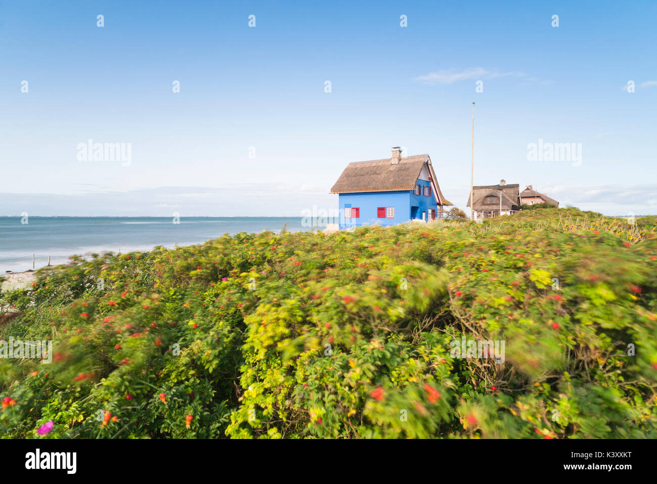 Historisches und Wohnen mit la façade blauer Reetdach auf der Halbinsel Graswarder an der Ostseeküste bei Heiligenhafen dans le Schleswig-Holstein, Deuts Banque D'Images