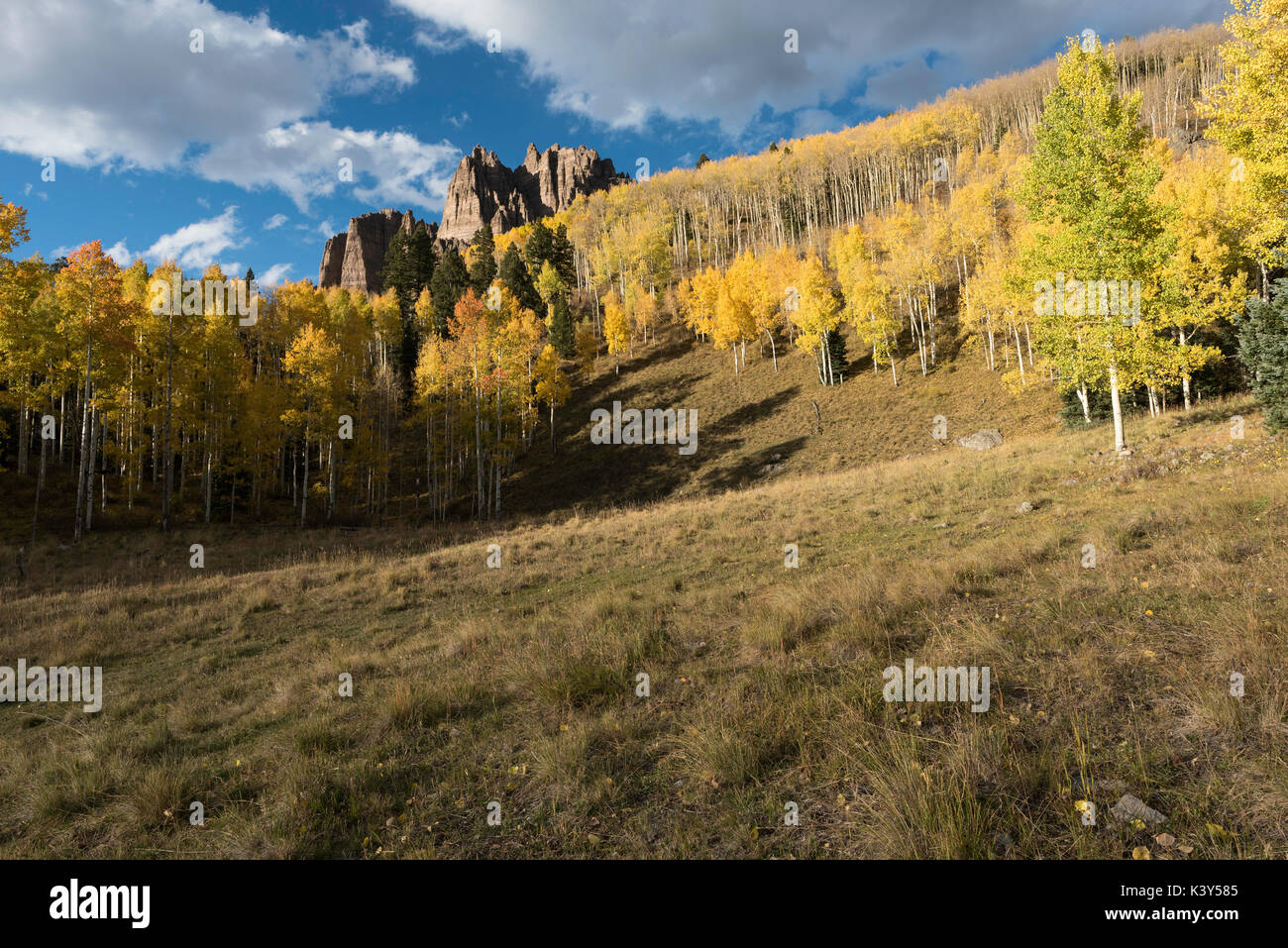 Mesa haute vallée de pinacles à Cimarron Colorado. Au début de l'automne avec l'approche de l'orage. Banque D'Images