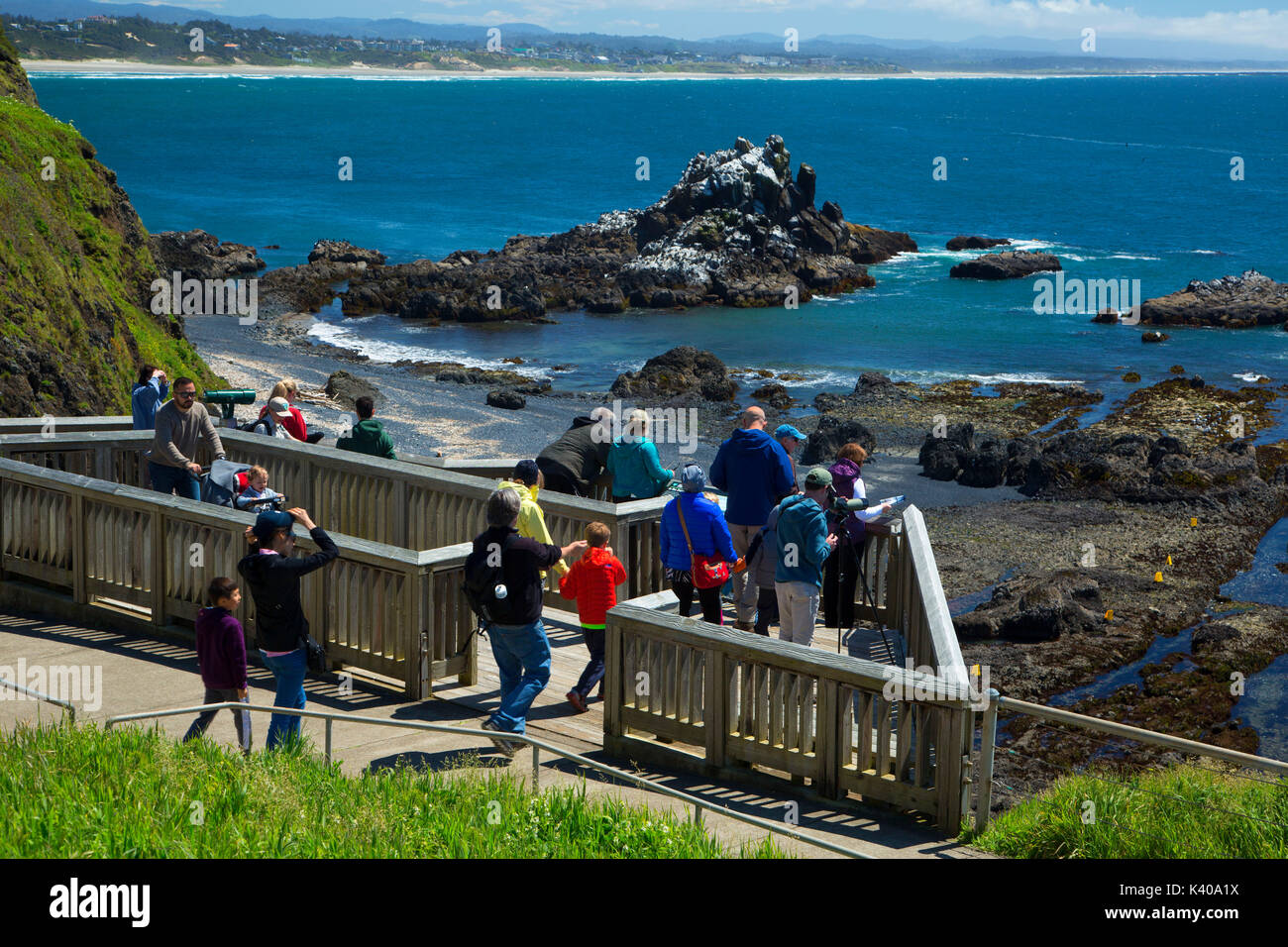 Plage de galets observation deck, zone naturelle remarquable Yaquina Head, Newport, Oregon Banque D'Images