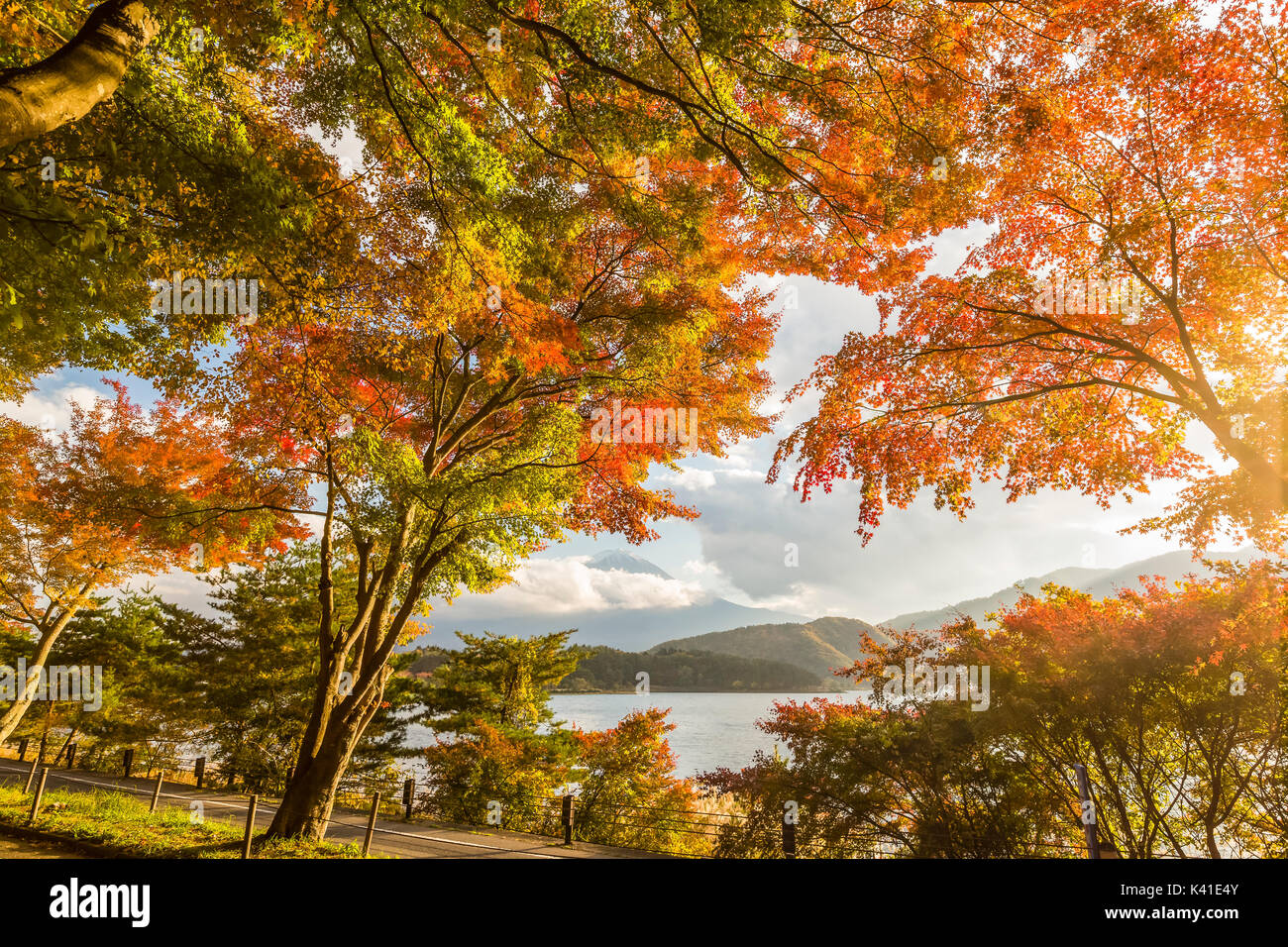 Mt. Fuji et le lac Kawaguchi en automne, au Japon Banque D'Images