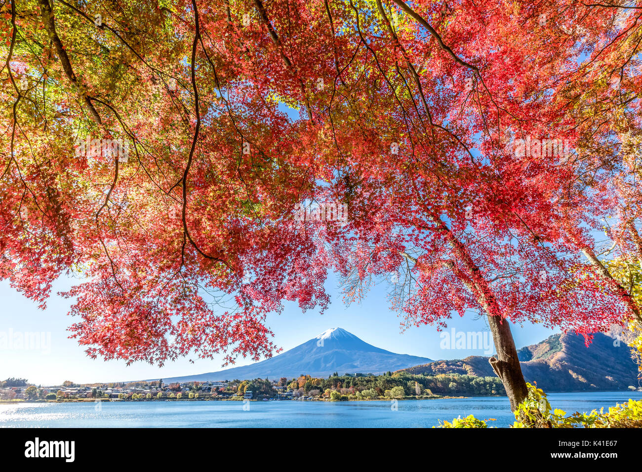 Mt. Fuji et le lac Kawaguchi en automne, au Japon Banque D'Images