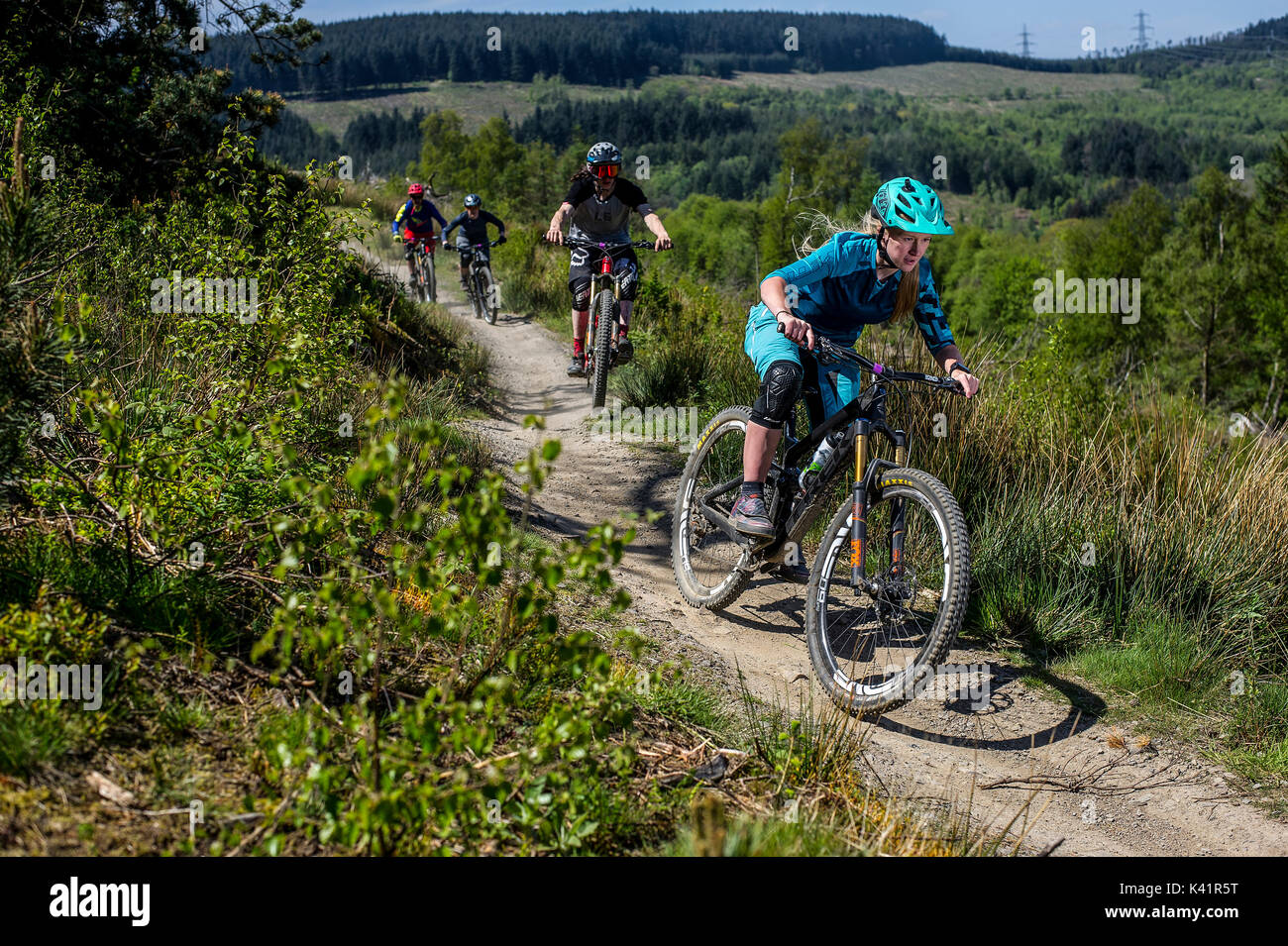 Un vélo de montagne des femmes à la tête d'un groupe de cavaliers le long d'un sentier au Bikepark de galles près de la ville de Merthyr Tydfil. Banque D'Images