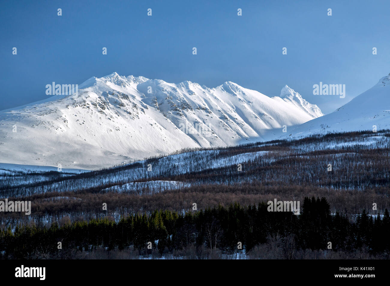 Bleu ciel et les sommets enneigés des Alpes de Lyngen woods autour de Tromsø Norvège Laponie Europe Banque D'Images