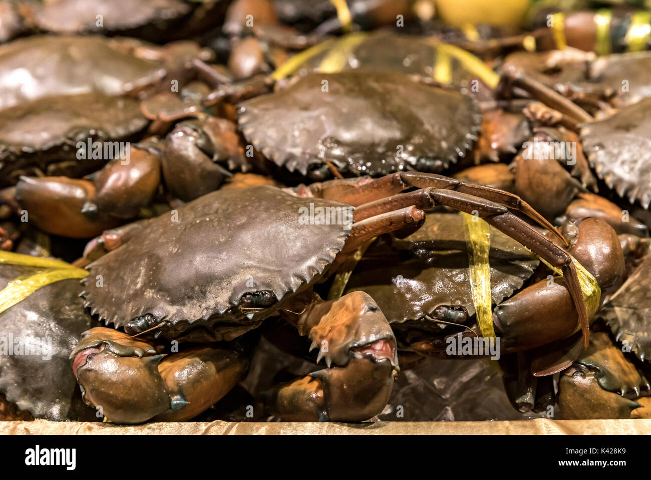 Matières premières fraîches prêtes à cuire le crabe Banque D'Images