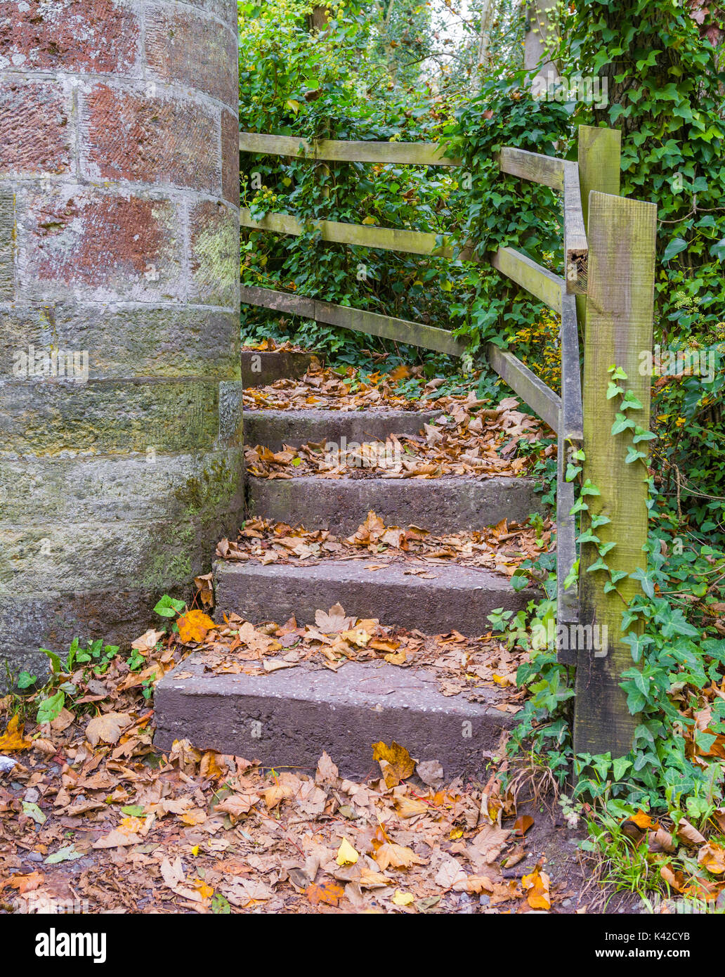 Les feuilles sur le terrain sur de vieilles marches de pierre à l'automne à Arundel, West Sussex, Angleterre, Royaume-Uni. Vue Portrait. Concept d'automne. Banque D'Images