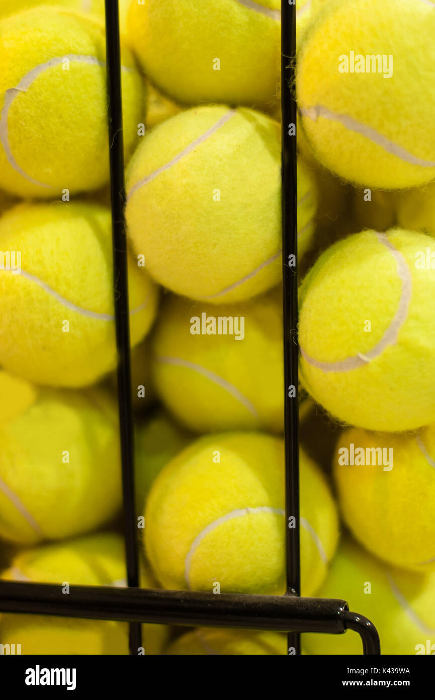 Grand nombre de balles de tennis jaune dans le panier. Close up Banque D'Images