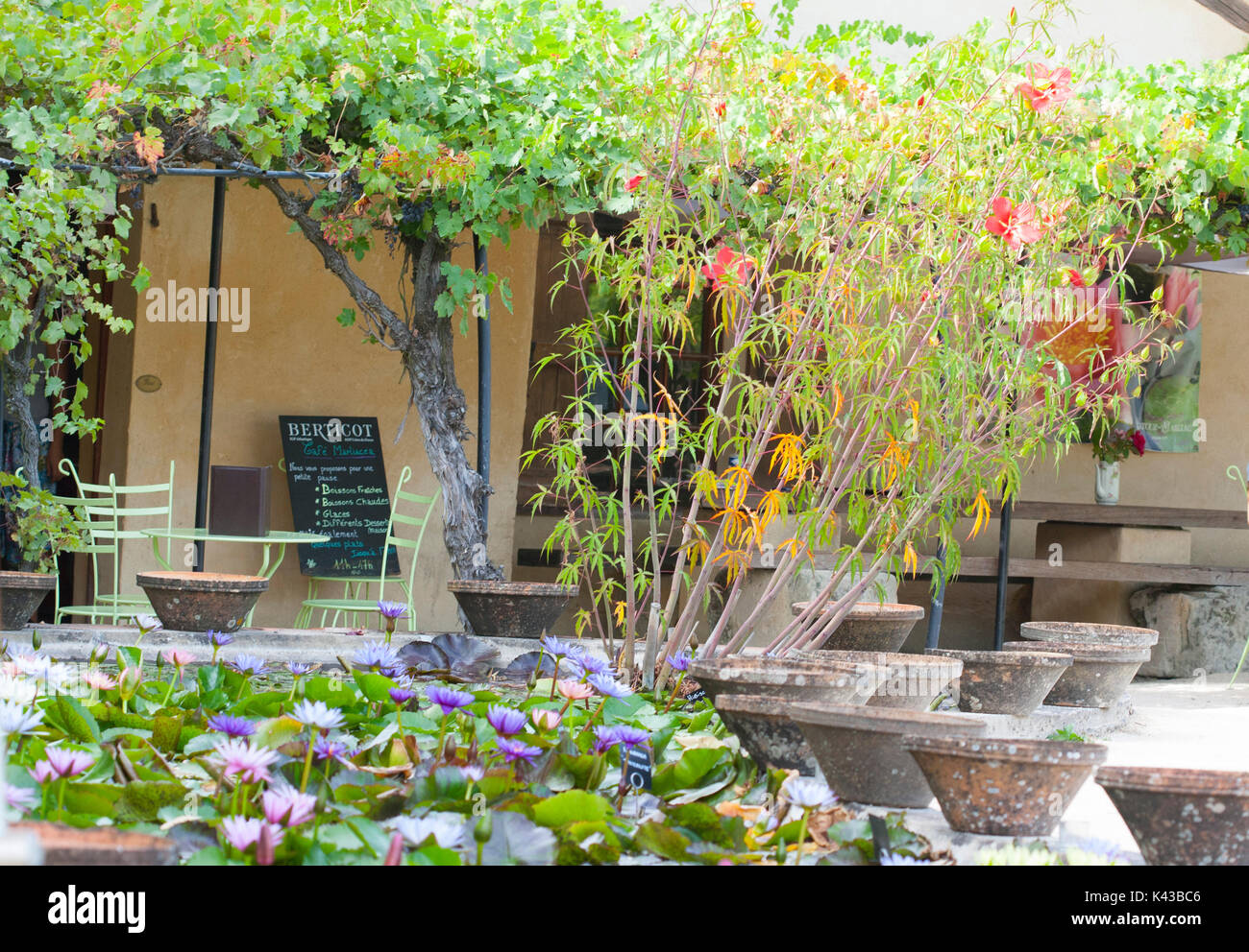 Les jardins de l'eau célèbre Labor-Marliac pour cultiver des nénuphars Banque D'Images