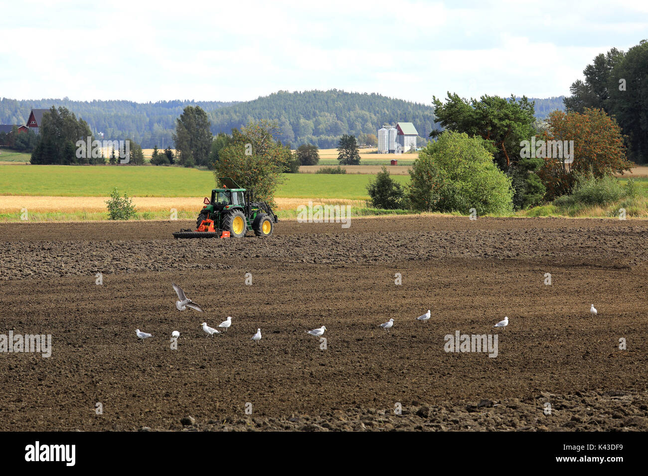 SALO, FINLANDE - le 20 août 2017 : agriculteur cultive champ avec un tracteur John Deere et harrow sur un beau jour de début de l'automne, avec les mouettes sur tilla Banque D'Images