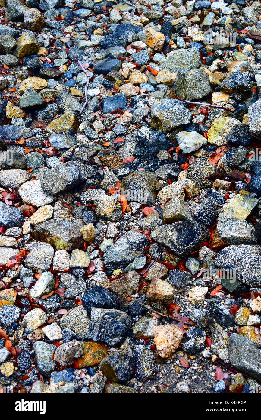 Vues lors d'une randonnée jusqu'au pic de San Gabriel socal. Banque D'Images