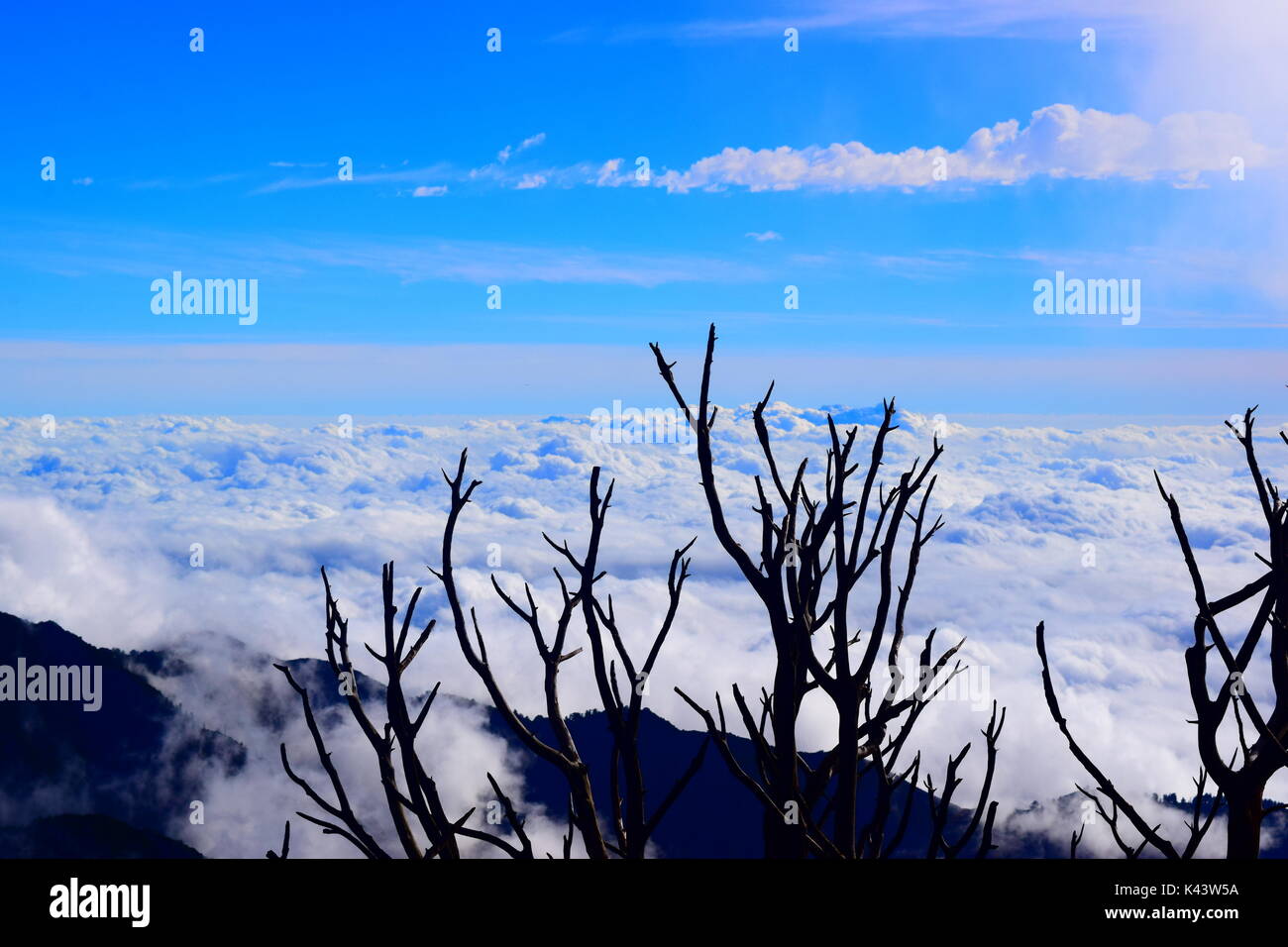 Vues lors d'une randonnée jusqu'au pic de San Gabriel socal. Banque D'Images