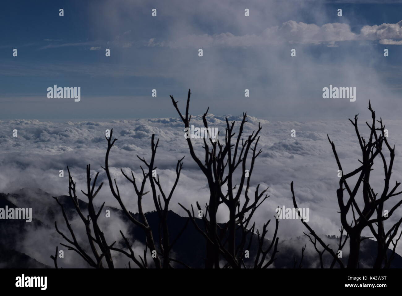 Vues lors d'une randonnée jusqu'au pic de San Gabriel socal. Banque D'Images