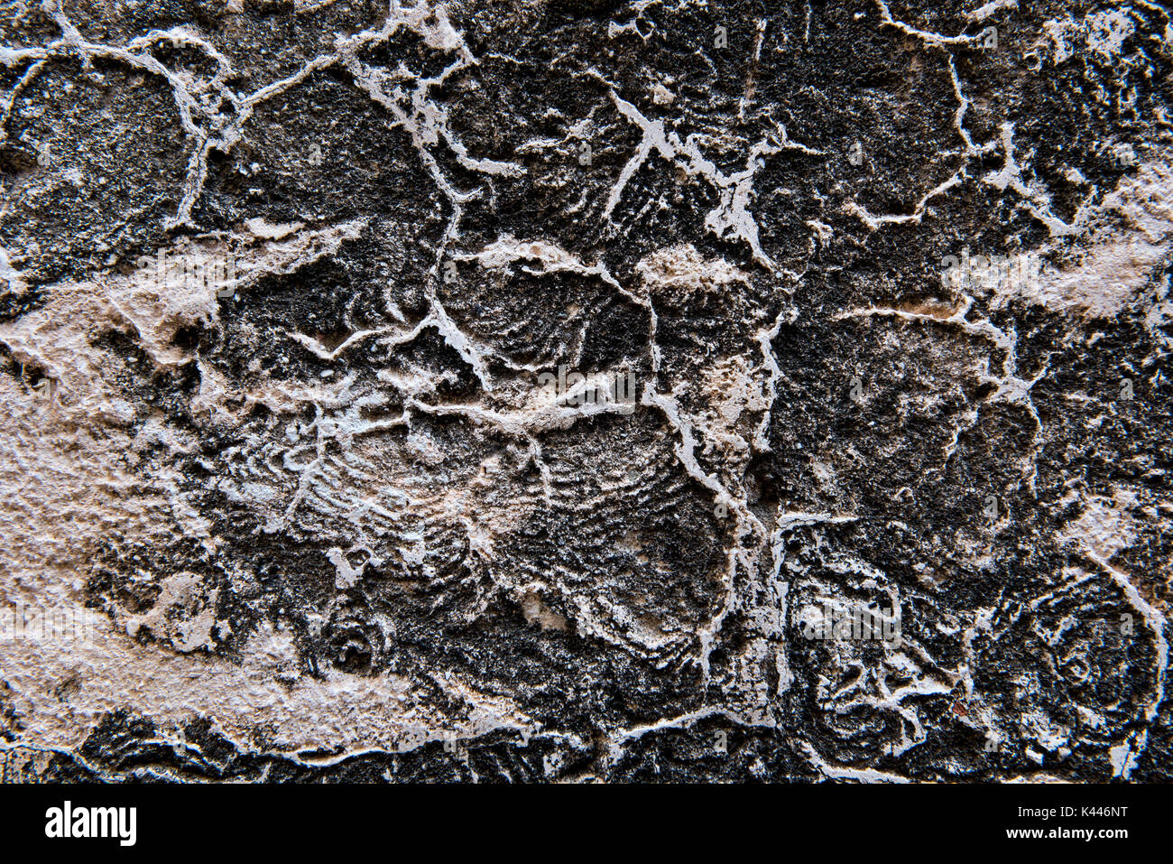 Contexte d'une paroi calcaire érodé la texture Banque D'Images