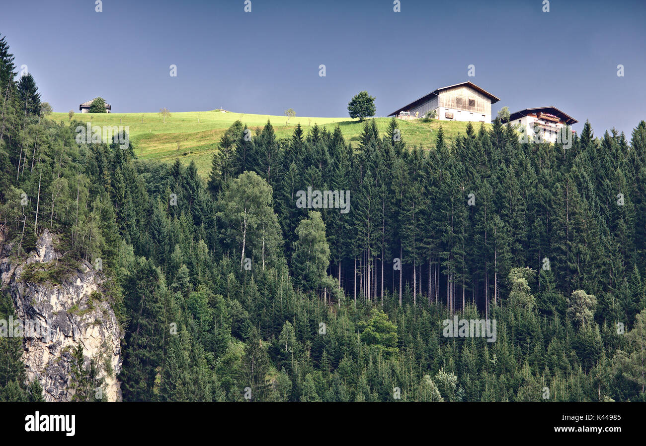 Randonnée dans les Alpes autrichiennes avec pâturage vert clair et ferme traditionnelle en haut et raide pente rocheuse avec forêt de pins dans le foregr Banque D'Images