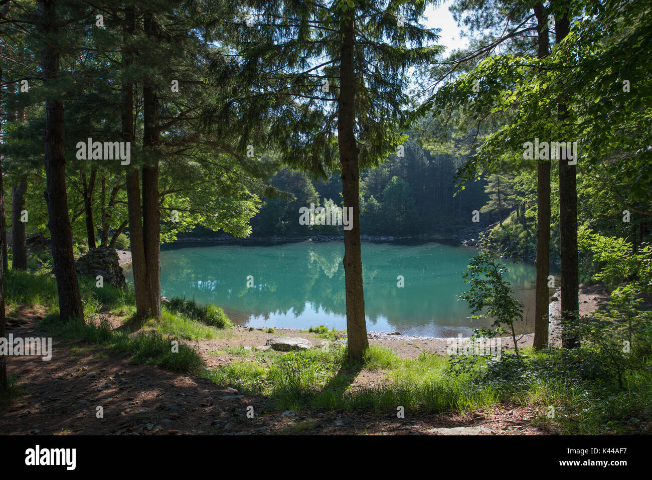 Aveto Valley Regional Park, lac boiteux, Ligurie, Italie. Le lac glaciaire boiteux avec la réflexion de l'arbre Banque D'Images