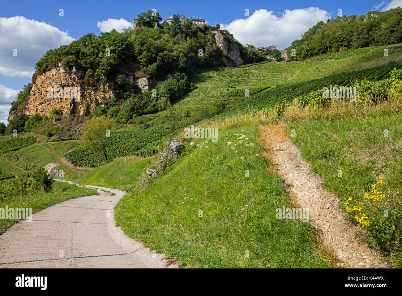 Route sinueuse menant à travers les vignes célèbres pour leurs vins blancs pour le village de Château-Chalon, Jura, Franche-Comté, Lons-le-Saunier, France Banque D'Images