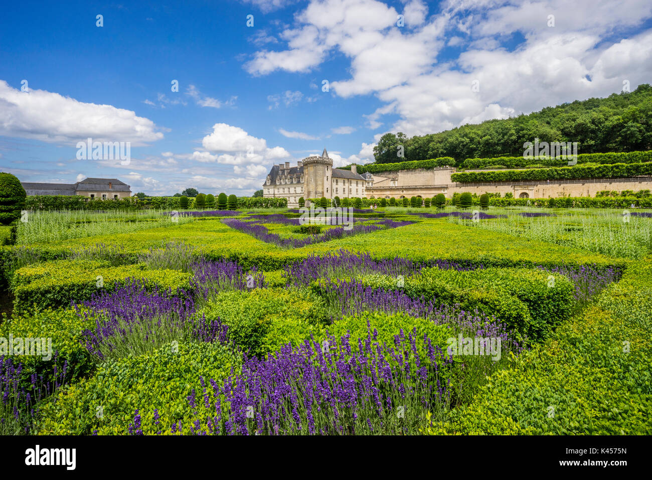 France, Indre-et-Loire, le Château de Villandry, vue sur le jardin Banque D'Images