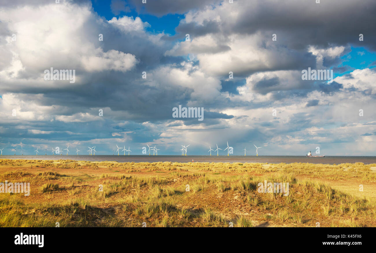 Vue depuis la ligne de côte à Great Yarmouth du scroby sands éoliennes dans la mer Norfh par un beau jour d'été Banque D'Images Vue depuis la ligne de côte à Great Yarmouth du scroby sands éoliennes dans la mer Norfh par un beau jour d'été Banque D'Images