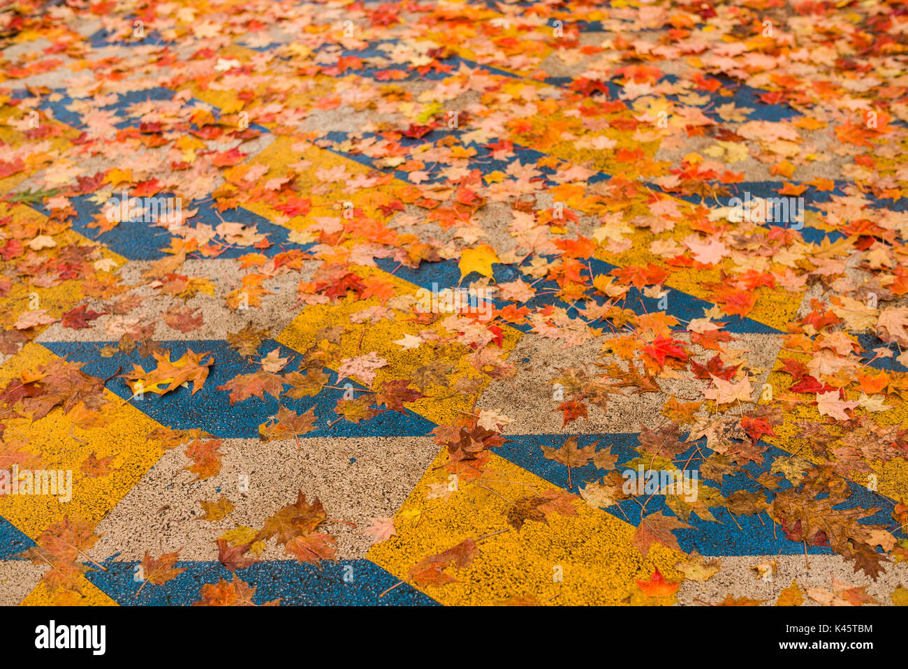 USA, New York, dans l'ouest de New York, Chautauqua Institution Chautauqua, quartier historique, rue peint, automne Banque D'Images