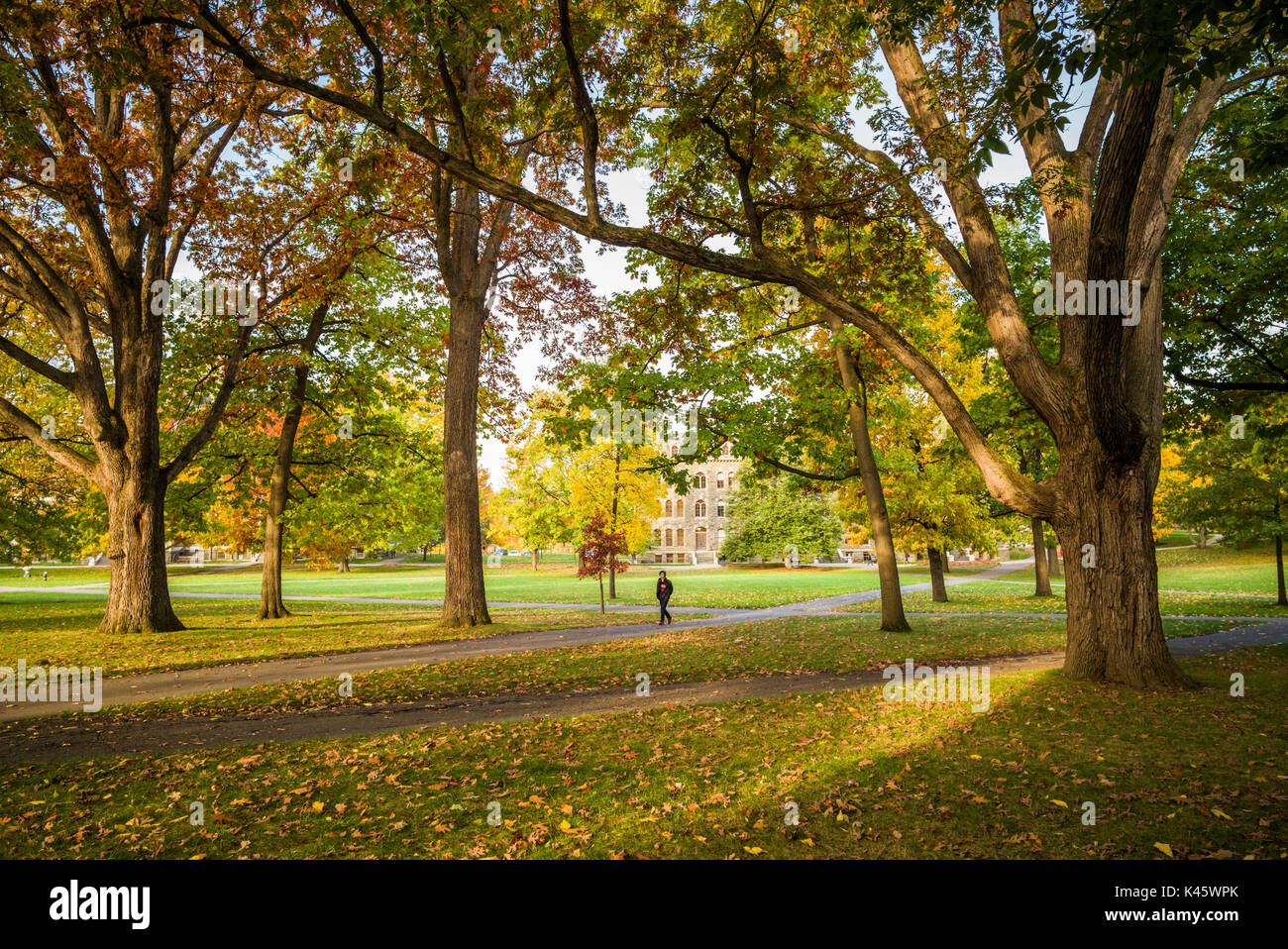 USA, New York, Région des lacs Finger, Ithaca, Cornell University, de l'art Quad, matin Banque D'Images USA, New York, Région des lacs Finger, Ithaca, Cornell University, de l'art Quad, matin Banque D'Images