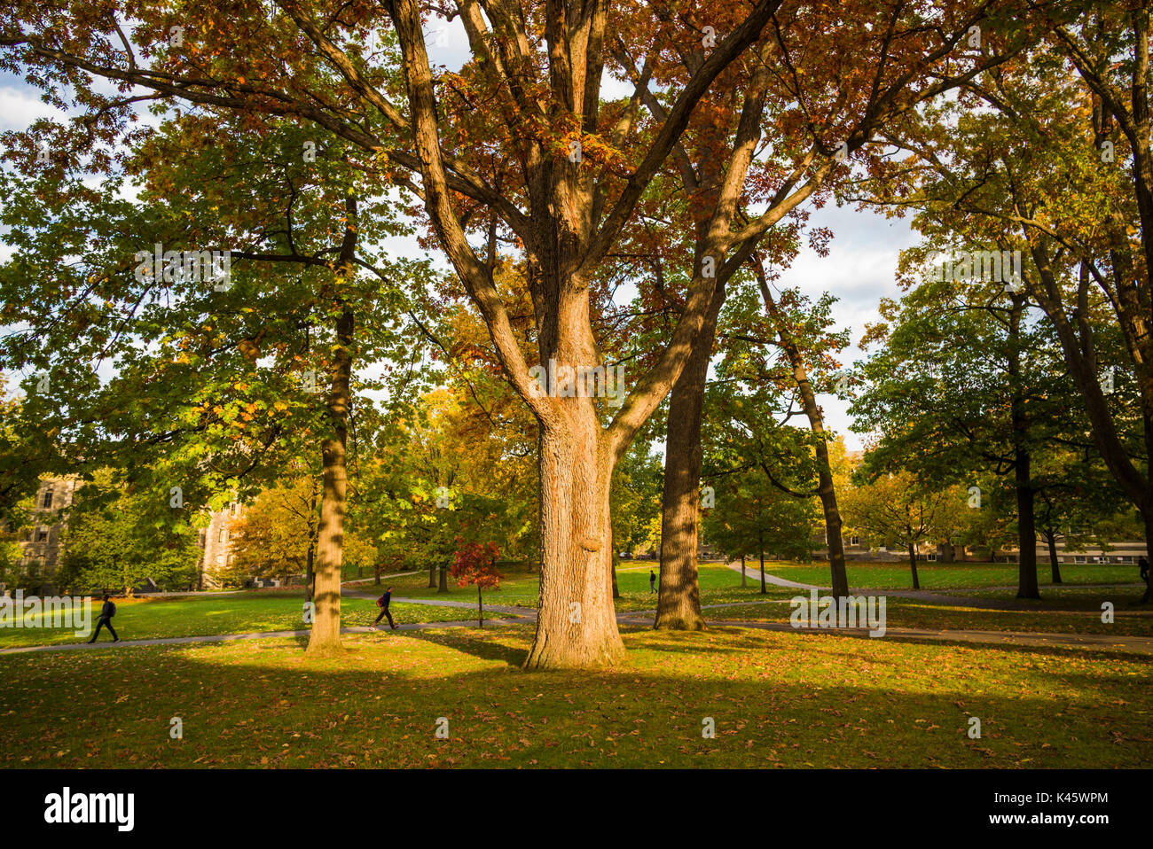USA, New York, Région des lacs Finger, Ithaca, Cornell University, de l'art Quad, matin Banque D'Images USA, New York, Région des lacs Finger, Ithaca, Cornell University, de l'art Quad, matin Banque D'Images